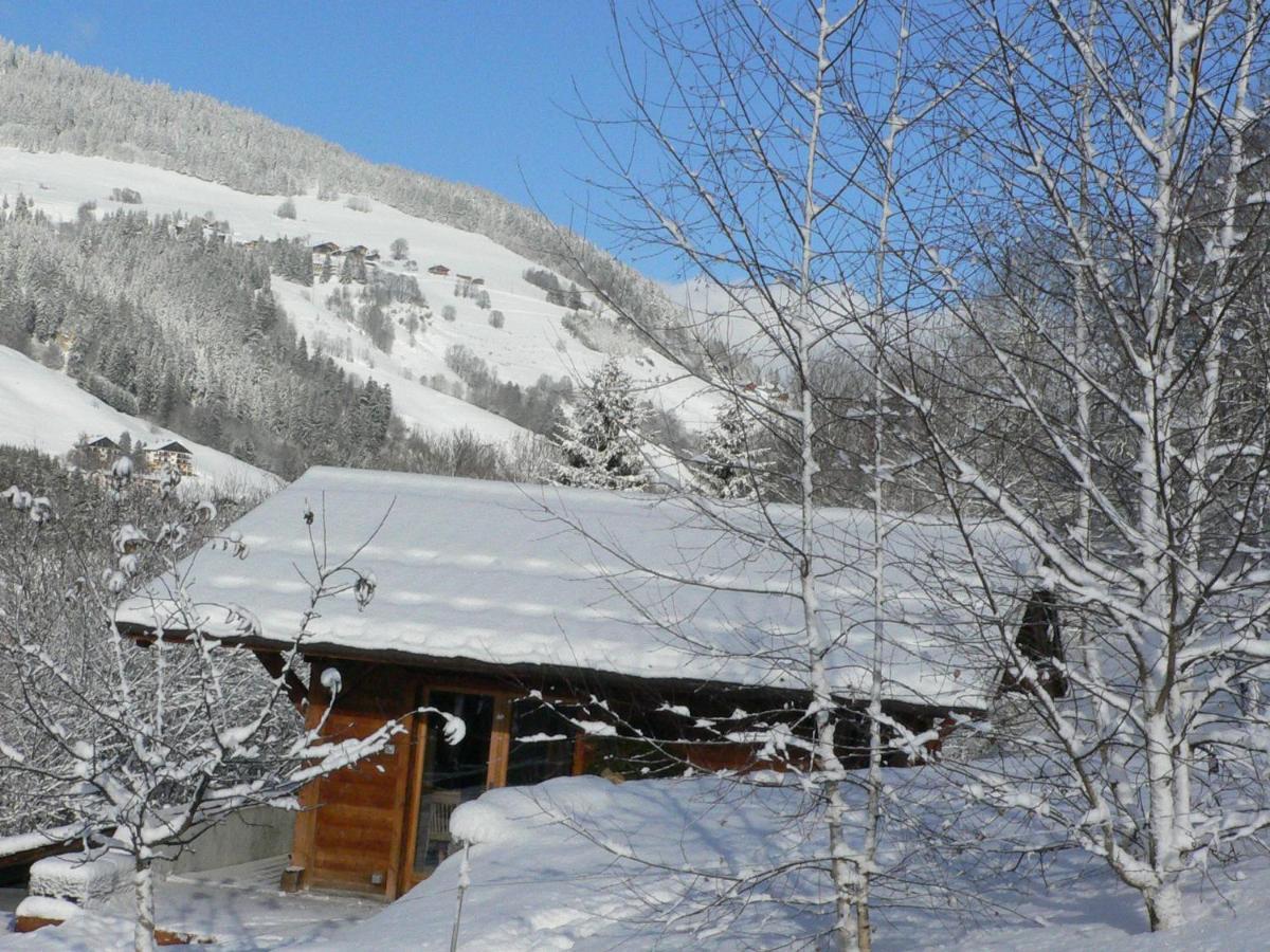 Chalet Petit Individuel De Caractere
