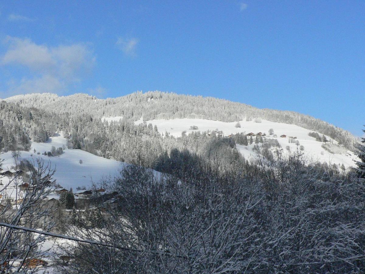 Petit Individuel De Caractère Megève